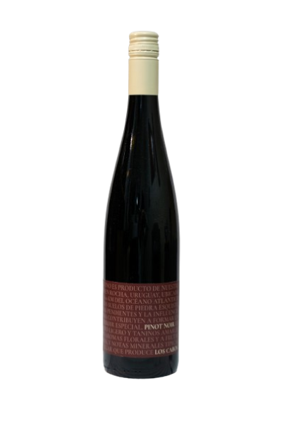 Los Cabos Pinot Noir