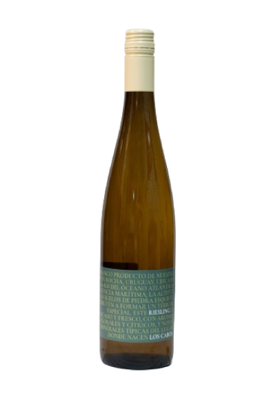Los Cabos Riesling