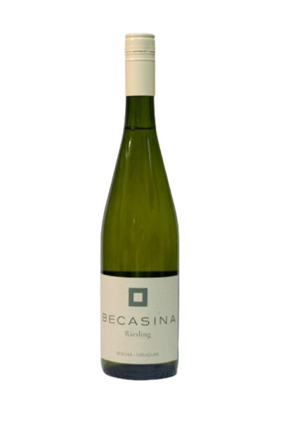 Becasina Riesling,