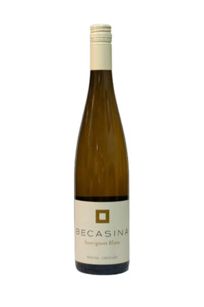 Becasina Sauvignon Blanc